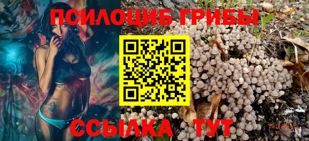 Галлюциногенные грибы прущие грибы Чусовой