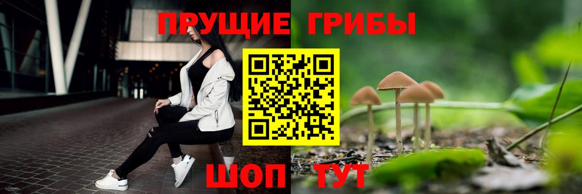 Чусовой  Галлюциногенные грибы Magic Shrooms  Вход с VPN  Псилоцибиновые грибы мицелий 