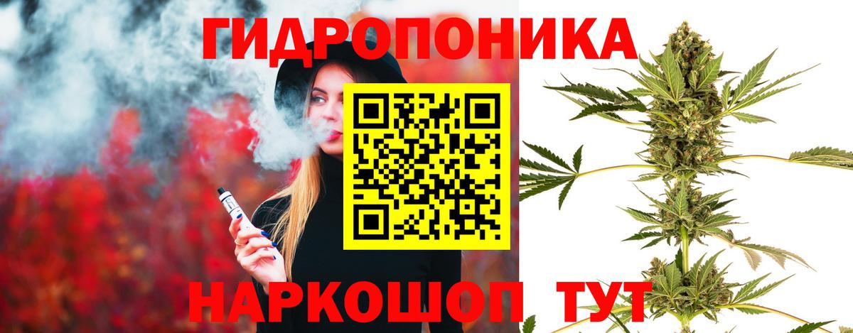 Чусовой  Марихуана план  Канабис ГИДРОПОН  Шишки марихуана SATIVA & INDICA  Вход с VPN 